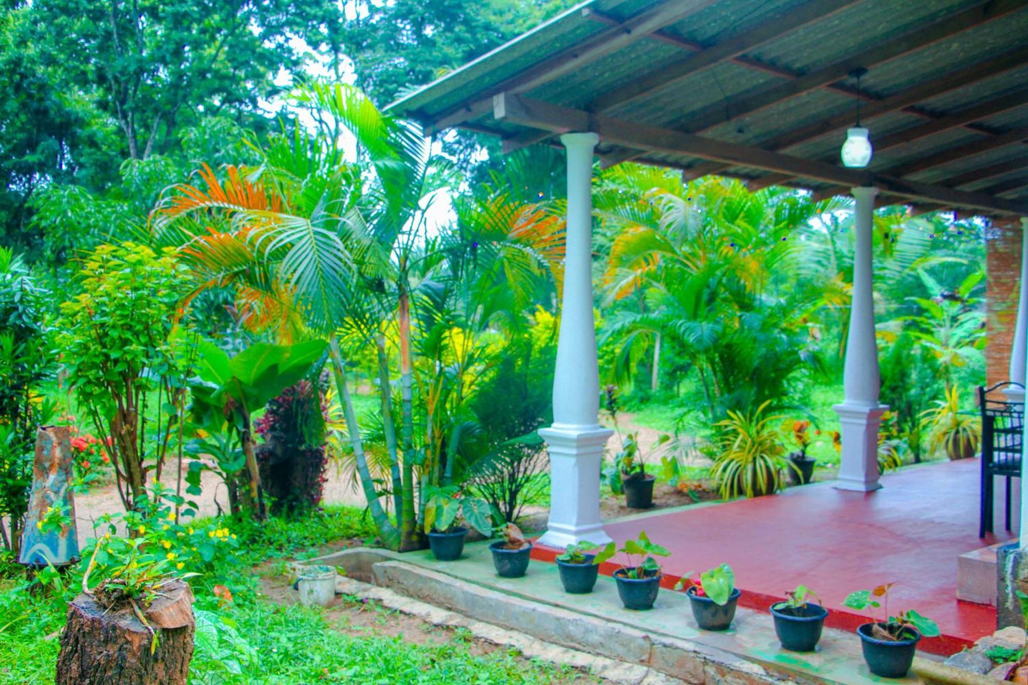 Chanaka Holiday Inn Sigiriya Exteriör bild