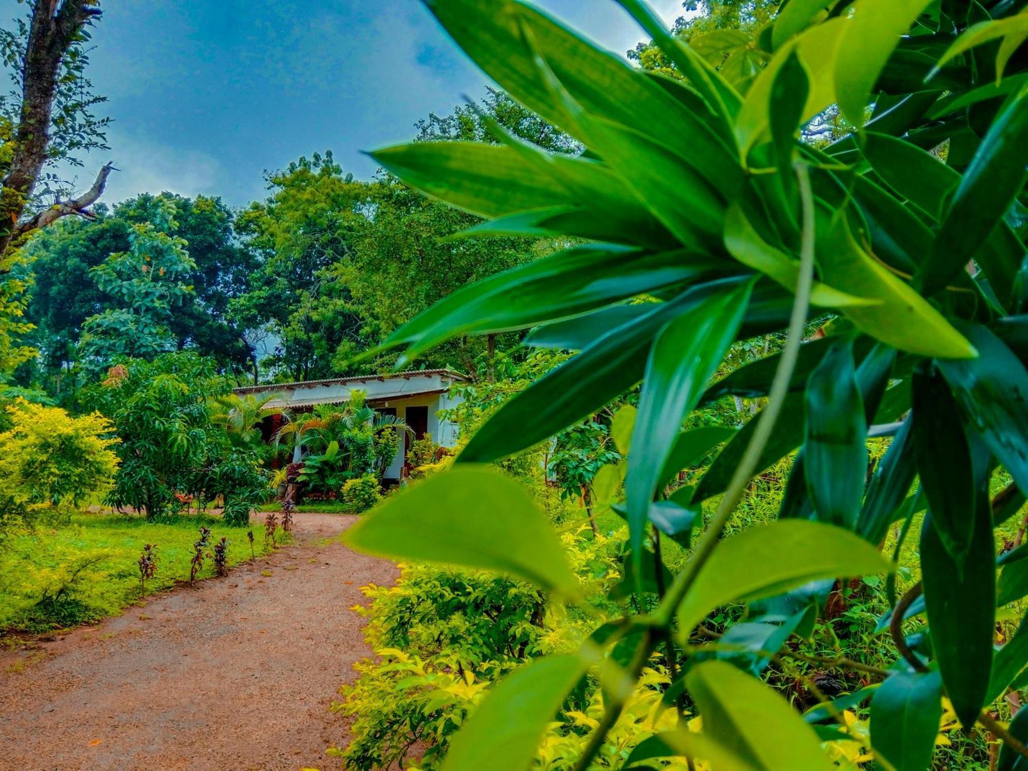 Chanaka Holiday Inn Sigiriya Exteriör bild