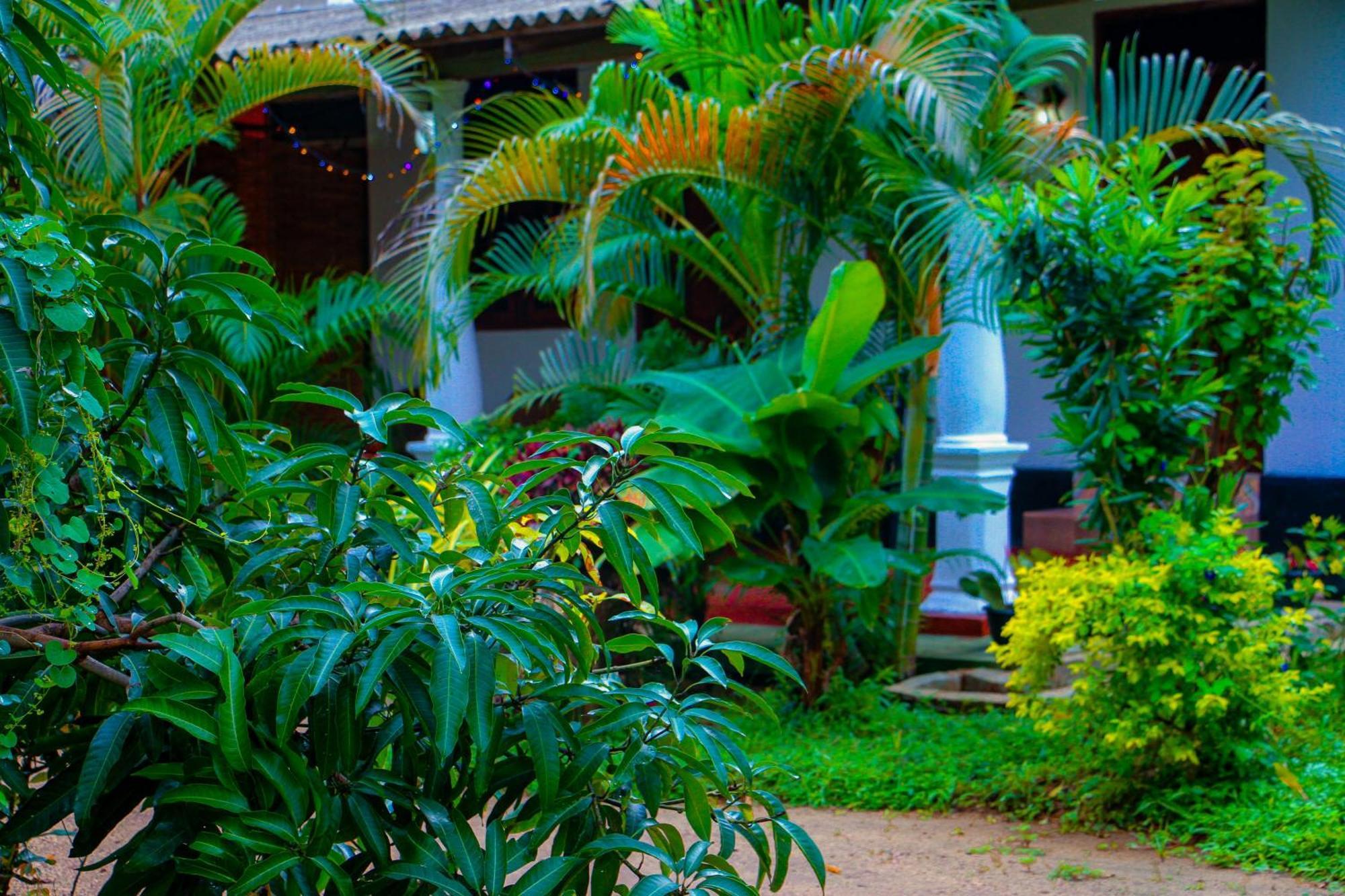 Chanaka Holiday Inn Sigiriya Exteriör bild